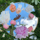 michaelcerasimp avatar