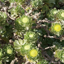 michaellawer-blog avatar