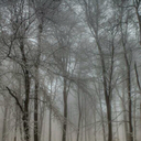 michaelmcnamara26 avatar