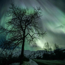 michaelmoulton1 avatar