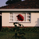 michaelwwilson-blog avatar