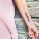 michelamaionese avatar