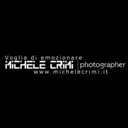 michelecrimi avatar