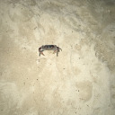 michellealexandrabill avatar