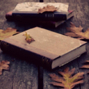 michellebmadsen avatar