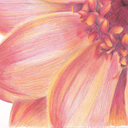 michellechan888 avatar