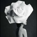 michelleforan-blog avatar