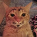 michusbonitos avatar