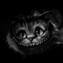 miciomao13 avatar