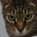 mico-com avatar