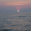 microelementt avatar