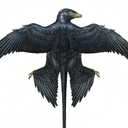 microraptors avatar