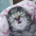 microwavablebabies avatar