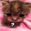 microwavegommmm avatar