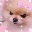 mid-evil-werewolf avatar