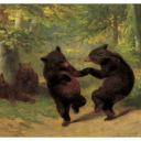 middle0fnowhere avatar