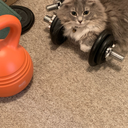 middleagedmadness1983 avatar