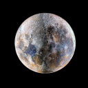 middletallfar avatar