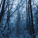 midgardianmary avatar