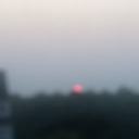 midmint-blossom avatar