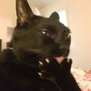 midnight--moons avatar