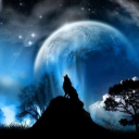 midnight-2411 avatar