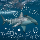 midnight-miseryy avatar