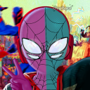 midnight-penguins avatar