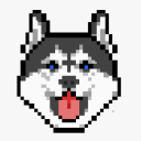 midnight-puppy avatar