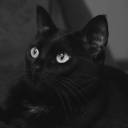 midnight-spiral avatar