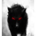 midnight-the-shadow-wolf avatar