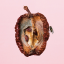 midnightcrawlor avatar