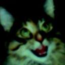 midnightcrustcat avatar