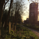 midnighthatters avatar