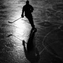 midnighthockey avatar