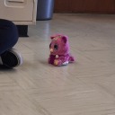 midnightiscool avatar