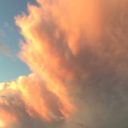 midnightmimosa avatar