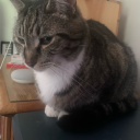 midnightmining avatar