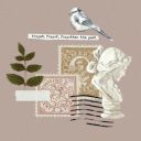 midnightpoet06 avatar