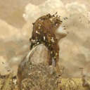 midnightsandcupsofcoffee avatar