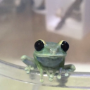 midnightsbycandlelight avatar