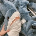 midnightspineapple avatar