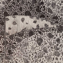 midnightthefallen2 avatar