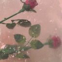 midnightutopia avatar