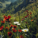 midsummer-midnights avatar