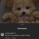 midwesterncryptid avatar