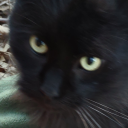 midwesternmortician avatar