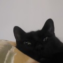 miel-et-fleur avatar