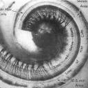 miercoles-wednesday avatar