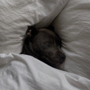 miesconditesec avatar